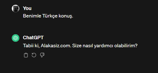 chatgpt türkçe nasıl kullanılır