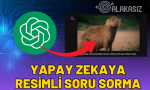 yapay zekaya resimli soru sorma