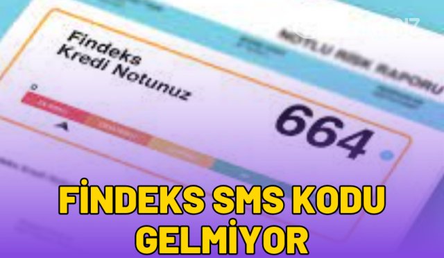 findeks-tek-kullanimlik-sms-kodu-gelmiyor