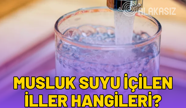 musluk suyu içilen iller