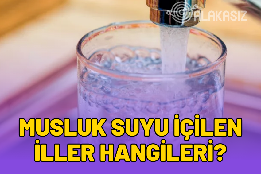 Musluk Suyu İçilen İller: Hangi Şehirlerin Çeşme Suyu İçilir?