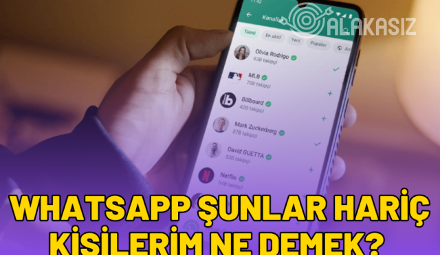 whatsapp-sunlar-haric-kisilerim-ne-demek