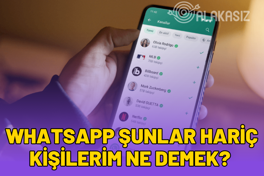 Whatsapp Şunlar Hariç Kişilerim Ne Demek?