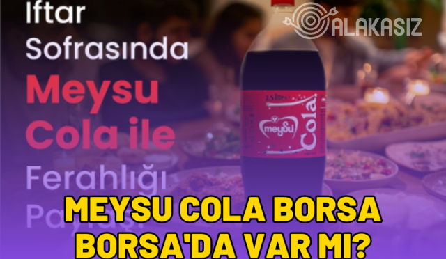 meysu cola borsa