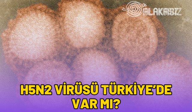 h5n2-virusu-turkiyede-var-mi-2024