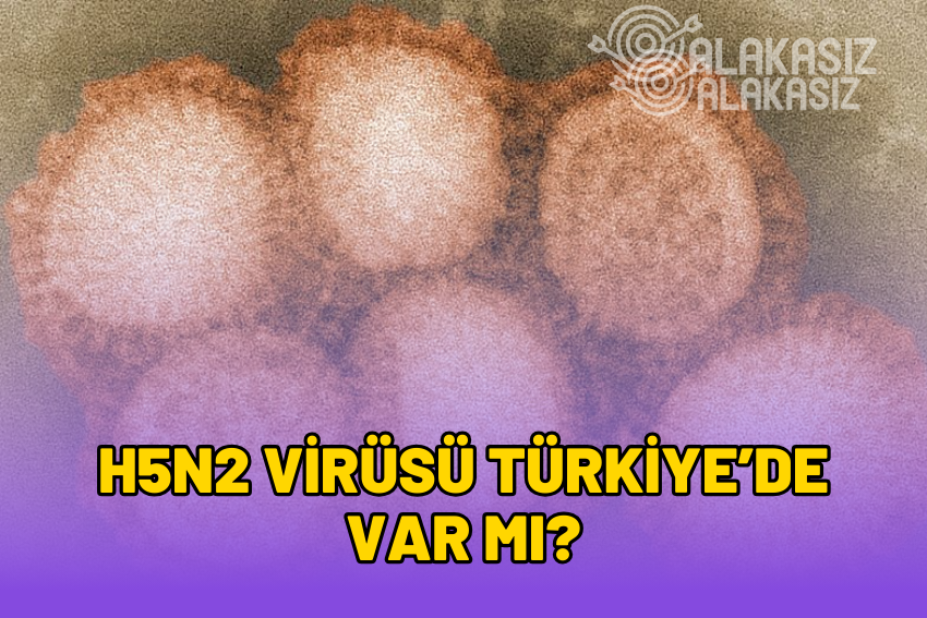 H5N2 Virüsü Türkiye’de Var mı? Ülkemizde Görüldü mü?