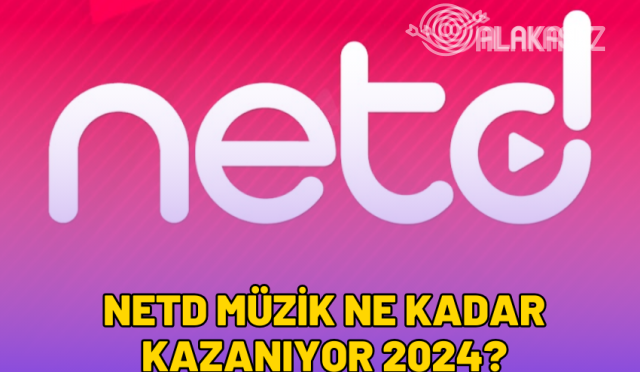 netd-muzik-ne-kadar-kazaniyor-2024