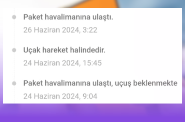 tamu paket havalimanına ulaştı ne demek