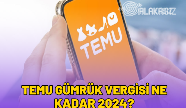 temu-gumruk-vergisi-ne-kadar-2024