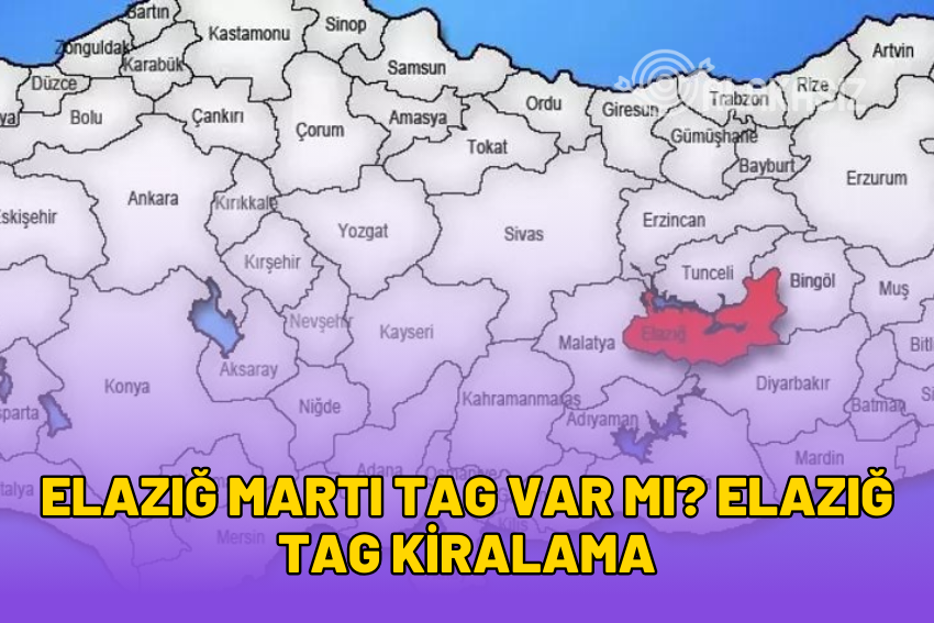 Elazığ Martı TAG Var mı? Elazığ TAG Kiralama 2024