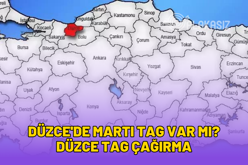 Düzce’de Martı TAG Var mı? Düzce TAG Çağırma 2024