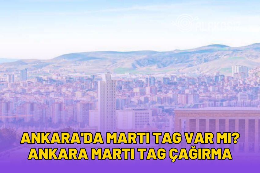 Ankara’da Martı TAG Var mı? Ankara Martı TAG Çağırma 2024