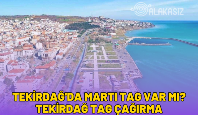 tekirdağ'da martı tag var mı