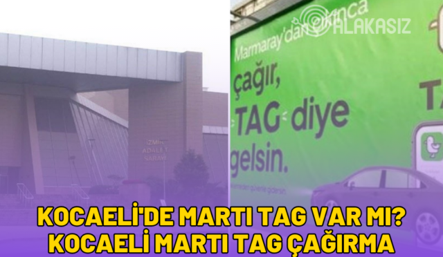 kocaeli'de martı tag var mı