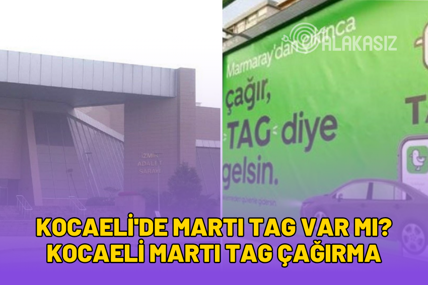 Kocaeli’de Martı TAG Var mı? Kocaeli Martı TAG Çağırma 2024