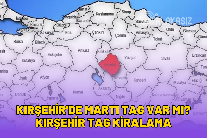 Kırşehir’de Martı TAG Var mı? Kırşehir TAG Kiralama 2024