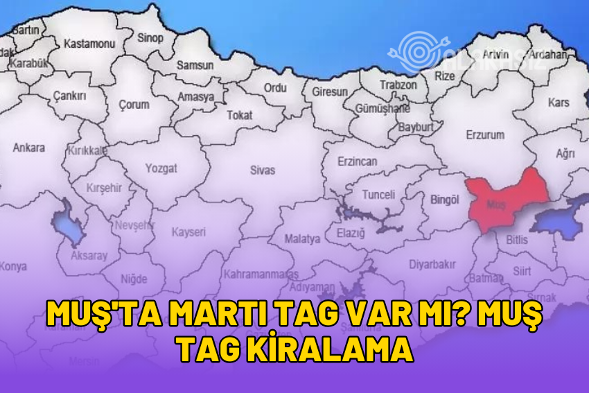 Muş’ta Martı TAG Var mı? Muş TAG Kiralama 2024