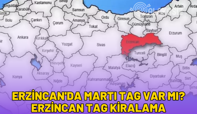 erzincan'da martı tag var mı