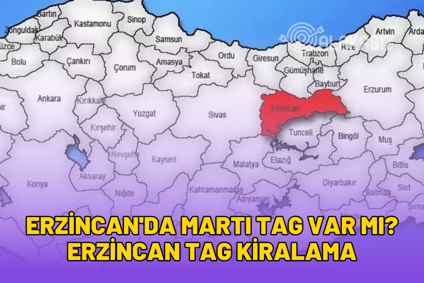 Erzincan’da Martı TAG Var mı? Erzincan TAG Kiralama 2024