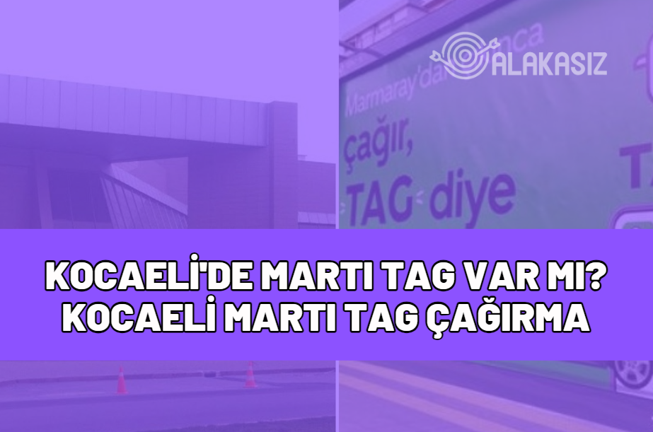 kocaeli'de martı tag var mı