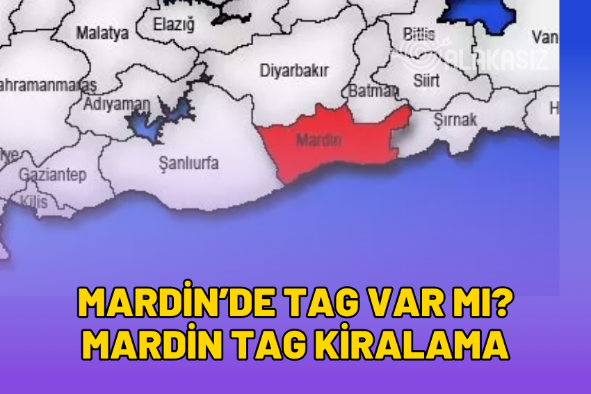 Mardin’de Martı TAG Var mı? Mardin TAG Kiralama