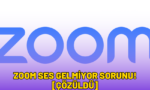 zoom ses gelmiyor