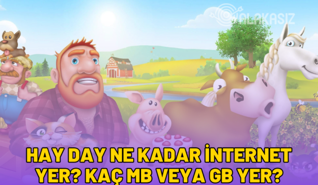 hay day ne kadar internet yer