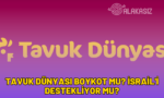 tavuk dünyası boykot mu