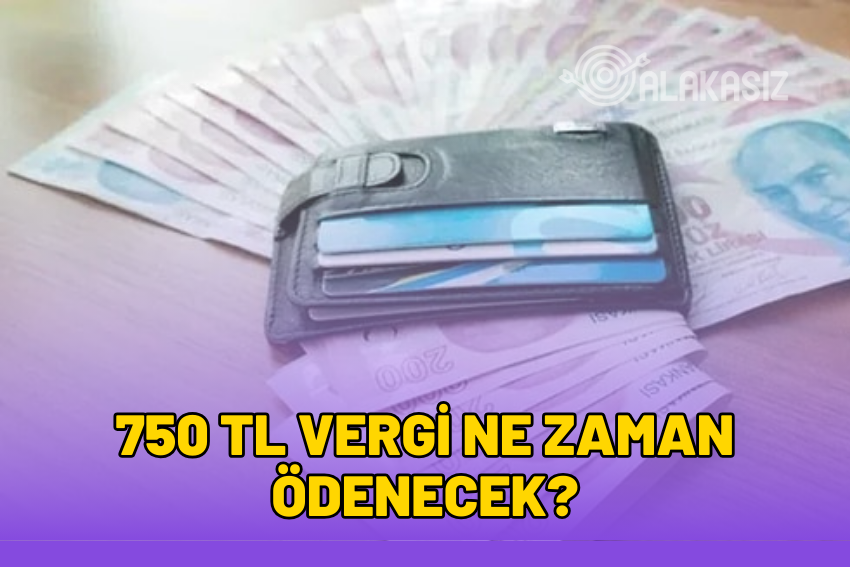 750 TL Vergi Ne Zaman Ödenecek? Kredi Kartı Vergisi Ne Zaman?