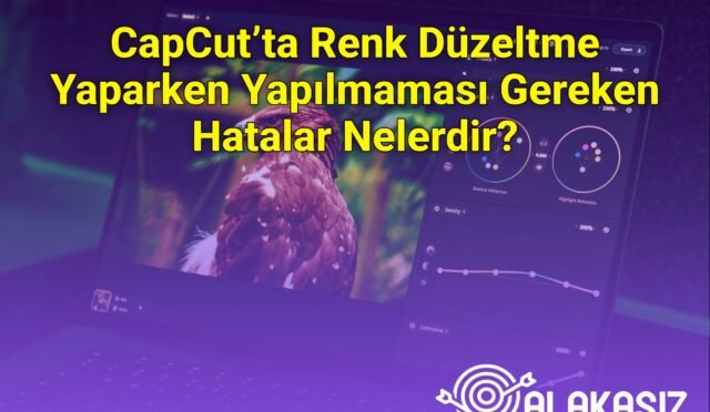 CapCut’ta Renk Düzeltme Yaparken Yapılmaması Gereken Hatalar Nelerdir?