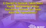 E-Devlet’te Gümrük Takibi Nasıl Yapılır, Beklemeden Kargo Durumunu Görmek için Adım Adım Ne Yapmalısınız?