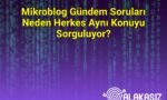 Mikroblog Gündem Soruları Neden Herkes Aynı Konuyu Sorguluyor?