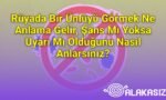 Rüyada Bir Ünlüyü Görmek Ne Anlama Gelir, Şans Mı Yoksa Uyarı Mı Olduğunu Nasıl Anlarsınız?
