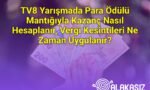 TV8 Yarışmada Para Ödülü Mantığıyla Kazanç Nasıl Hesaplanır, Vergi Kesintileri Ne Zaman Uygulanır?