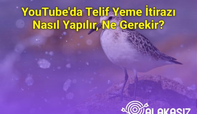 YouTube'da Telif Yeme İtirazı Nasıl Yapılır, Ne Gerekir?