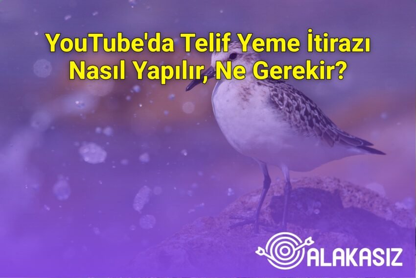 YouTube’da Telif Yeme İtirazı Nasıl Yapılır, Ne Gerekir?