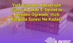 Yurt Dışından Alışverişte Gümrük Takibi E-Devlet’te Nereden Öğrenilir, Hızlı Kargoda Süresi Ne Kadar?