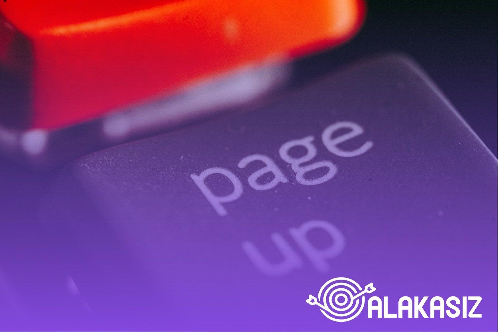 Site izinleri penceresinde pop-up istisna ekleme adımı