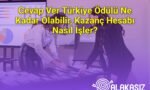 Cevap Ver Türkiye Ödülü Ne Kadar Olabilir, Kazanç Hesabı Nasıl İşler?