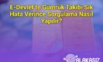 E-Devlet’te Gümrük Takibi Sık Hata Verince Sorgulama Nasıl Yapılır?