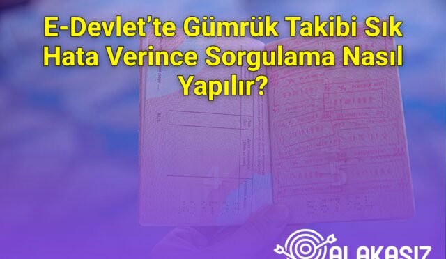 E-Devlet’te Gümrük Takibi Sık Hata Verince Sorgulama Nasıl Yapılır?