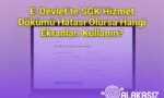 E-Devlet’te SGK Hizmet Dökümü Hatası Olursa Hangi Ekranları Kullanın?