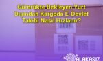 Gümrükte Bekleyen Yurt Dışından Kargoda E-Devlet Takibi Nasıl Hızlanır?