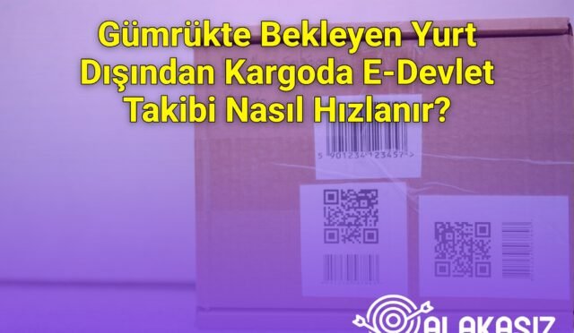 Gümrükte Bekleyen Yurt Dışından Kargoda E-Devlet Takibi Nasıl Hızlanır?