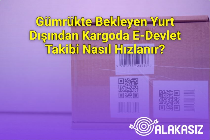 Gümrükte Bekleyen Yurt Dışından Kargoda E-Devlet Takibi Nasıl Hızlanır?