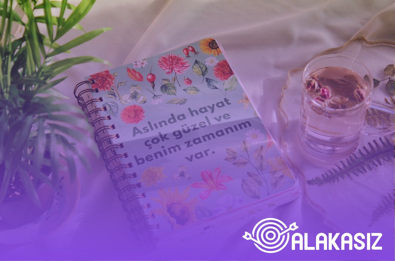 Analitik grafik düşüşü gösterir, erişim ve görünürlük etkisi